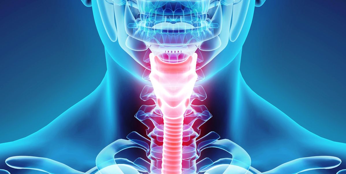 صورة منشأة Dr.dimaalali - قسم دكتور أنف أذن حنجرة (ENT) في Dummar 8