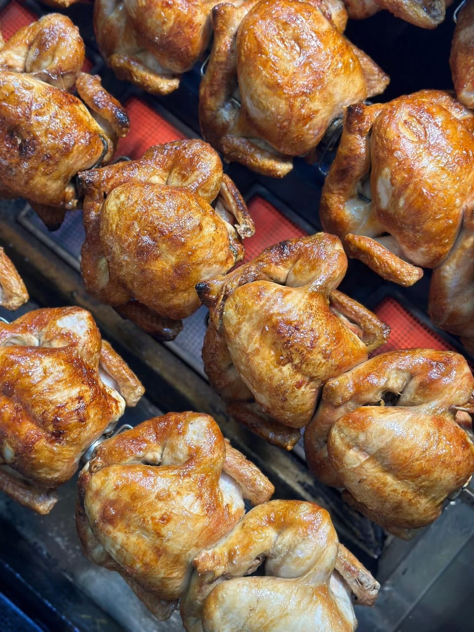 صورة منشأة white chicken- وايت تشكن - قسم مطاعم غربية في Sarouja 2